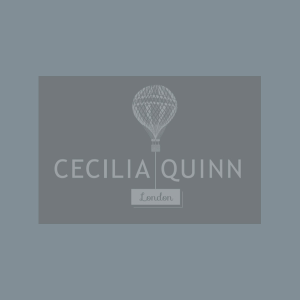 Small Space Images - Client Image - CECILIA QUINN